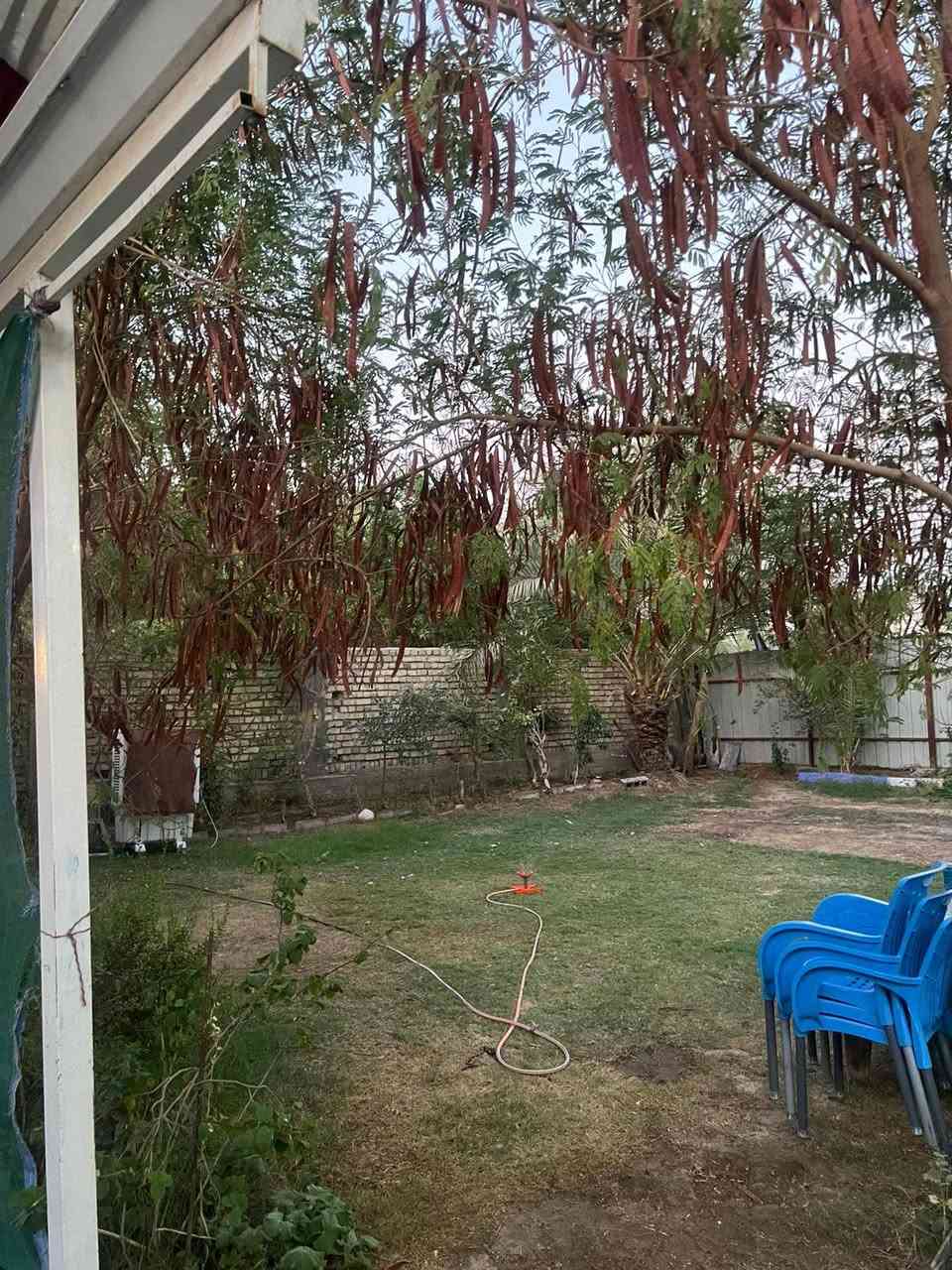 السلام عليكم
✨🏡 فرصة ذهبية لامتلاك منزل فاخر بموقع مميز واستثماري 🏡✨
📍 الموقع: شمال بابل – ناحية السدة – حي الزهراء (العلكاية) – قرب مولدة سيد صادق

للبيع منزل فاخر وحديث البناء، مشيّد بأفضل المواد الإنشائية وبتسليح درجة أولى، يجمع بين فخامة السكن وروعة الموقع وقوة الفرصة الاستثمارية.

🔹 المساحة الكلية: 800 متر²
🔹 مساحة البناء: 250 متر²
🔹 إجمالي مساحة بناء الطابقين: 500 متر²

⭐ مميزات العقار:
✅ طابو زراعي سند 25
✅ موقع حيوي ومميز قريب من الشارع العام
✅ ركن على شارعين مع تبليط كامل
✅ بناء حديث وتسليح درجة أولى وفق أعلى المواصفات
✅ جميع الخدمات متوفرة ومكتملة
✅ مساحات واسعة توفر الراحة والخصوصية
✅ مناسب للسكن العائلي الراقي
✅ فرصة استثمارية واعدة مع قابلية عالية لزيادة القيمة العقارية مستقبلاً

🌟 عقار يجمع بين الموقع المتميز، والمساحة الكبيرة، وجودة البناء، ليمنحك سكناً مثالياً واستثماراً آمناً في آن واحد.
📞 للاستفسار والمعاينة:
(***********)
