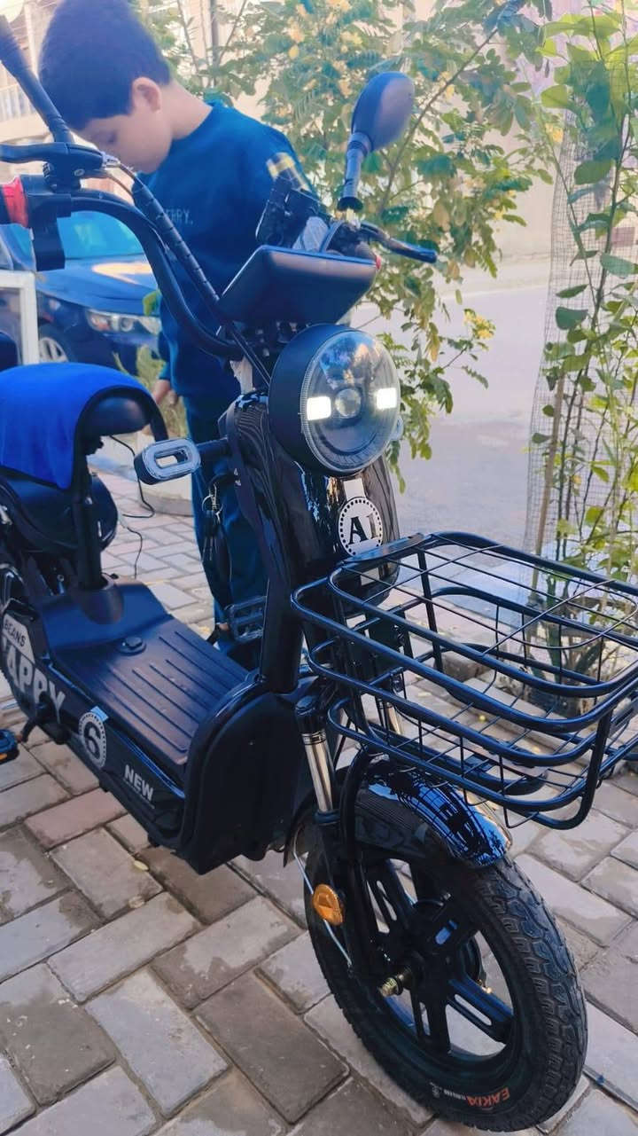 دراجةشحن السعر 400


**إذا كنت صاحب هذا الإعلان وتريد حذفه لأي سبب، رجاءا أرسل رسالة إلى الدعم الفني**