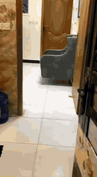 السلام عليكم.... بيت للبيع منطقه الشعب شارع عدن قرب متوسطةالاشراق مساحه 60م واجهه 10نزال 6 استقبال مطبخ وغرفه صحيات طابق ثاني غرفتين وصحيات استفسار مكتب الشعب للعقار بادره ابو هيله   ***********واتساب *********** اتصال
