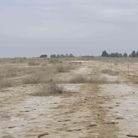 قضاء الزبيديه • قرية الشيخ عايد الناصر • ٢٠٠م