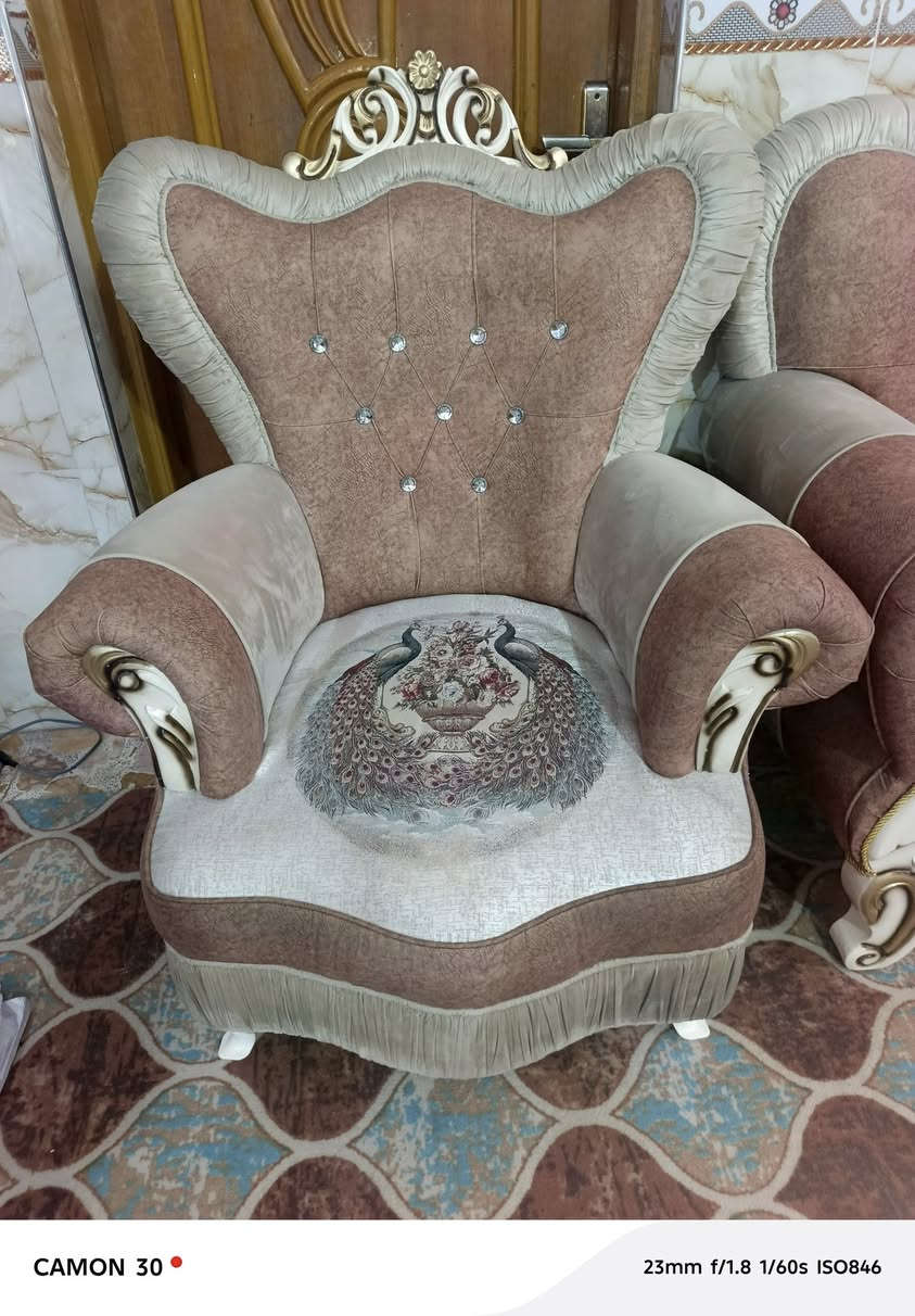 تخم تسكام شرط النضافه  للبيع 5قطع 10نفرات السعر خاص او الاتصال ع الرقم ***********
