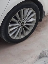 ويل 17 • رياضي • مراوس بويل 16