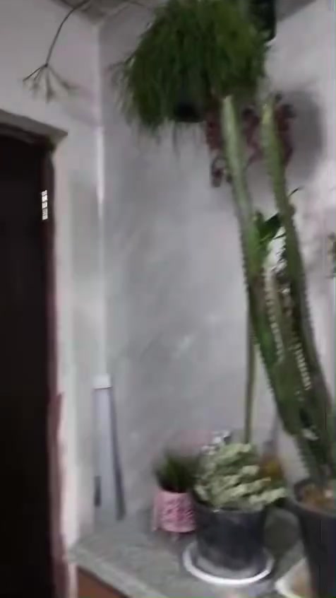 السلام عليكم
شقه سر قفليه للبيع كراده داخل  قرب جبار ابو الشربت صاله وغرفتين نوم وحمام ومطبخ مع مخزن وبلكون على شارع عام وعلى الفرع على طول الشقه البيع مع الاثاث او بدون اثاث واثاث الشقه غرفتين نوم خشب واربع سبالت شاشه TV عدد 2 تخم قنفات مطبخ جاهز وحمام كامل السعر 22 مليون وبيها مجال وللاستفسار اكثر الاتصال على هذا الرقم ***********موجود واتساب
