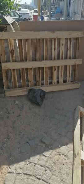 سلام عليكم عندي هذني سكيبات جددعددهن (25)اليحب يتواصل يخابرني عله هاذ رقم ***********
