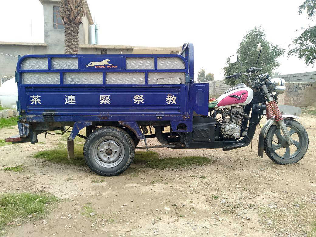 السلام عليكم ستوتة للبيع ام الطير مرقمة وسنوية ستوتة نظيفه وخير من الله المكان ديالى سد حمرين ‏للتصال‏ ‏‪***********‬‏
