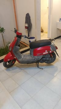 بوليسي • ياباني • كفاله