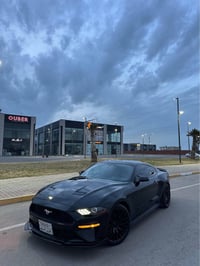 موستانغ • ٢٠١٩ • ٦٤٤٠٠ مايل