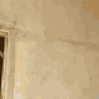 لباخ متفرغ  وسمنت جرارة وسقل ناعم  وجص وبورك شغل درجة اولى باليومية وك...