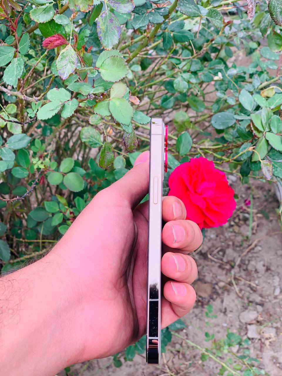 السلام عليكم
ايفون 12 برو ماكس ✅.     (بيع ومراوس )

جهاز شريحتين يعني خطين ✅

نسبه البطاريه 84✅

وضع شركه ➡️✅

ذاكره 128✅

فقط فيس ايدي متوقف في التحديث ➡️⚠️

الجهاز كفاله عامه من الزلغ ✅

السعر (450)بي مجال شي قليل جدا 👉

***********

عنوان  ديوانية دغاره
