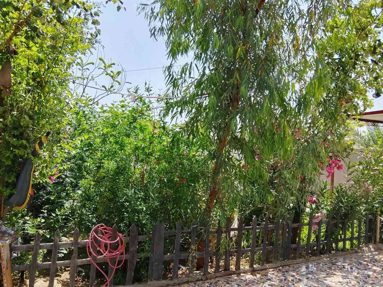 سلام عليكم بيت بحي المنتضر بشارع بيت حامد اليساس بيت مساحته 500  غرفتين خمسه في سبعه دوانيه وصله مطبخ سبعه متر  صيحات خارجيه ودخليه بيت جاهز *********** سعره 85 وبي بي مجال
