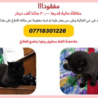 حي المالية • اغراض شخصية