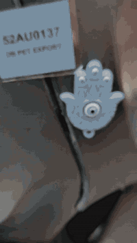 شباب مديل 22 شهر 11 تكتك خير من الله شوف عينك بيها كم ملاحضه بصايط مكي...