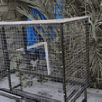 برج حديد جديد • واجهة ١٤٥س • ارتفاع ٨٠س