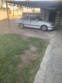 برنس • ١٩٩٥ • الرضوانيه
