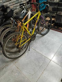 بايسكلات • شلعة وحدة • حي سومر