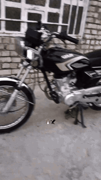 سلام عليكم  دراجه سونك تايكر مديل 24 مكفوله عامه سعر خاص او اتصال ***********
