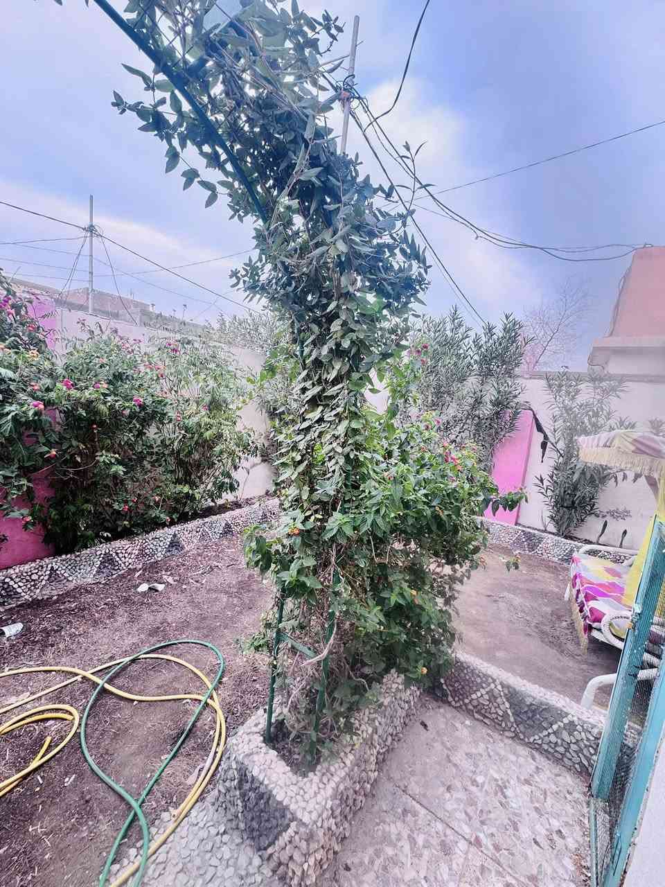 بيت للبيع مجمع بيتي مقابيل مجمع لكرار مساحته 250 متر 
طابق واحد 
طابو صرف سند حر بسم راعيه
يحوي عله ثلث غرف وستقبال وصاله ومطبخ وصحيات عدد ثنين ومناور عدد ثنين طابوك جمهوري صب كون كريت 
لسعر 210 وبي مجال 
استفسار
***********
