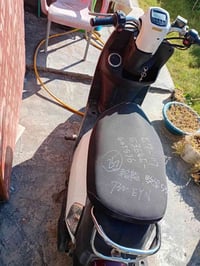 بوليس نوزل • بملوحتها • معروضة من شهر