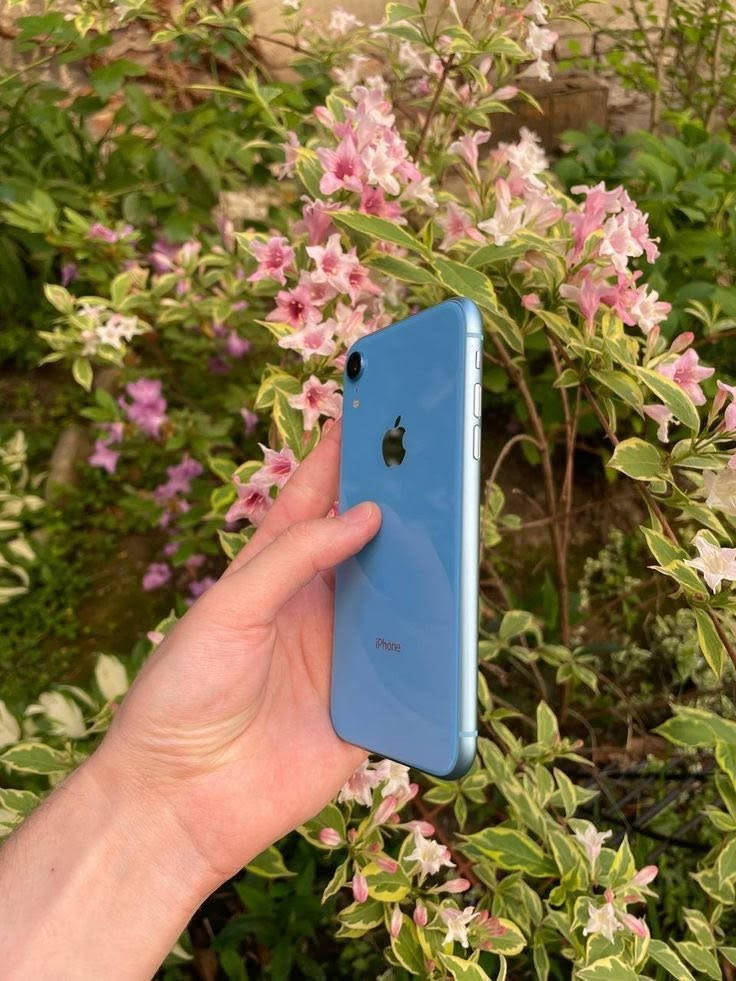 للبيع ‏iPhone Xʀ
الجهاز حيل نضيف 
بطاريه 100
ذاكره 128
فيس إيدي واكف
الجهاز كله شغال 
كامرات 
صوت 
سبيكر 
شبكه 
نضافه الجهاز 90
السعر 135
للستفسار ***********
