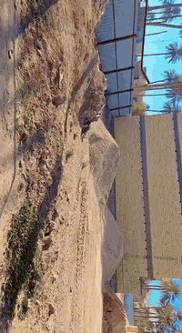 شباب الارض ركن    متوفر ارض زراعي ملك للبيع لايوجد فيها وقف كلها ملك م...