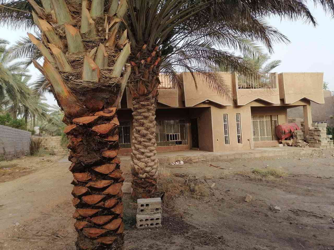 السلام عليكم قطعه مع بيت للبيع  في بابل مساحته ٩٠٠ متر تجاريه على طريق كربلاء بغداد يم عامود٥٦٥ السعر٢٥٠ مليون وبيها مجال تصلح موكب او او حسينيه او محلات او بناء عماره ***********
