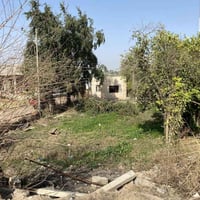 بل مدائن • ١٣٥٠متر • واجهه ١١م