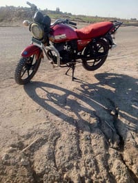 دايون • مكفولة • بدون وراق