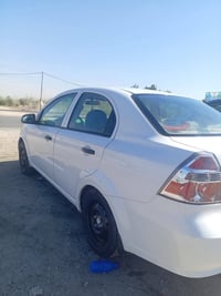 افيو ٢٠١١ • اوتوماتيك • بدون صبغ