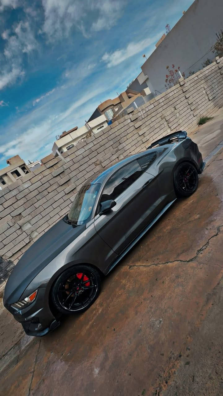 موستنك 2016 ستة سلندر V6
بدون اي نقص بدلت بلكات اصلي نوزات دسكات فيت بم كامله سياره 

كير مكينة اكسل كفالة

السيارة حادث امريكا جاملغ وبنيد  +بيهة مكانات صبغ ابيع حزام ماعده صندوك وسكف

بدون شواصي 

فقط بيها لغد واحد على جهه السايق

بيه اضافات وتعديلات

•  دعامية شيلبي•

•  جنح شيلبي

-دفيوزر

-دوس

-لحية

-كفرات مري باتمان

-دواخل السيارة تغطيس

- داخل السياره احمر 

رقم اربيل تحويل او وكالة وناصبه و احلى من الصور  

السعر 138 ورقة

 مكاني موصل 

***********
