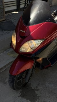 فورزا • ٠.٨ • الخالص