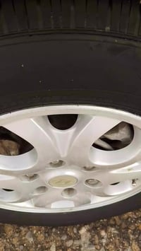 ستاركس • ٢٠٠٩ • اوتوماتيك