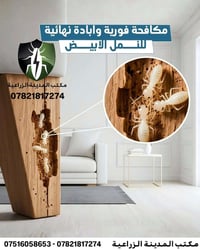 الأرَضة ما تبين بسرعة… تشتغل بهدوء، وفجأة نكتشف إن الخراب صار داخل الج...