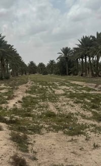 ارض للبيع • اراضي زراعية • اراضي سكنية • اراضي صناعية • دونم • ارض في ...