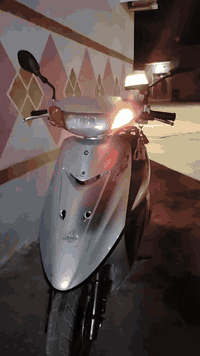 ماطور نضيف • فول كلو • بعشيقة