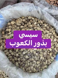 المحل مفتوح ليلا ، تعال شوف طعمه وبعدين اشتري متوفر توصيل ٠٧٧٠١٣٥٧٣٤٤