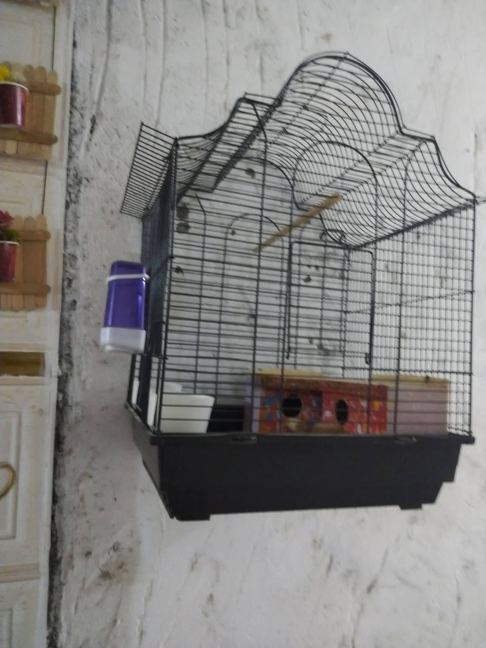 اغراض للبيع الاستفسار خاص


**إذا كنت صاحب هذا الإعلان وتريد حذفه لأي سبب، رجاءا أرسل رسالة إلى الدعم الفني**