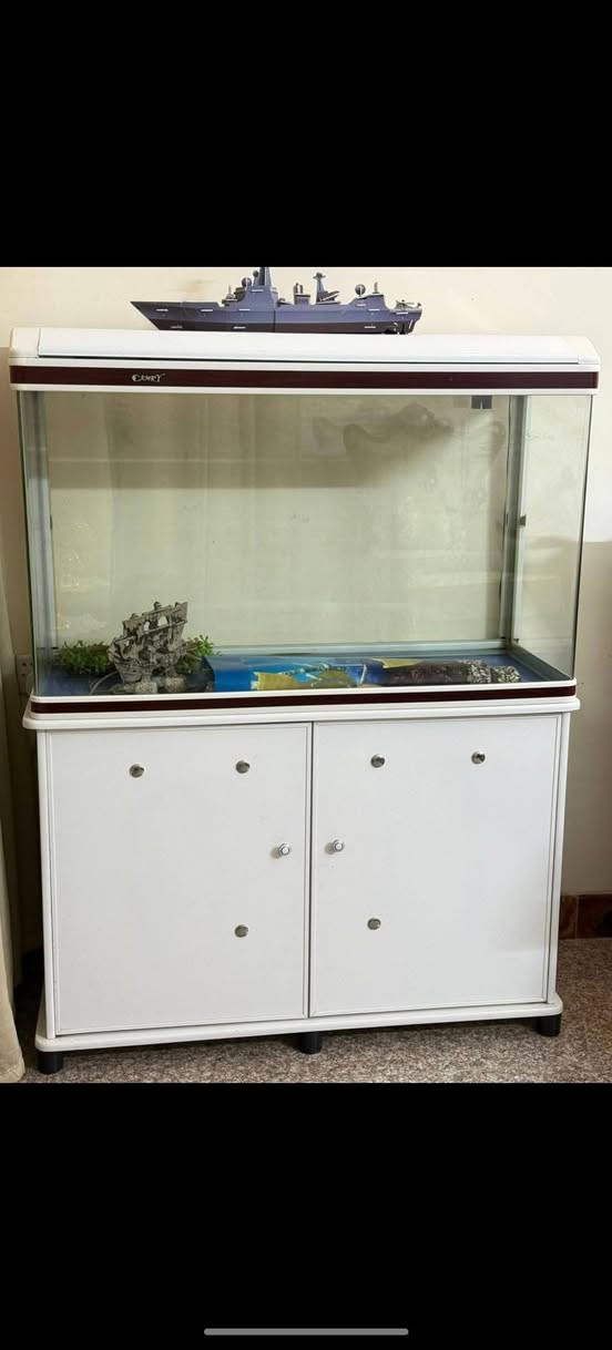 حوض سمج نظيف كوبش


**إذا كنت صاحب هذا الإعلان وتريد حذفه لأي سبب، رجاءا أرسل رسالة إلى الدعم الفني**