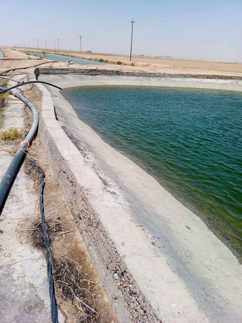 للبيع مساحة 210 دونم طابو ملك صرف الدونم 8 مليون ماجره بالموسم ب35 مليون سنويا وقابله للزياده للاستفسار الاتصال على الرقم ***********
