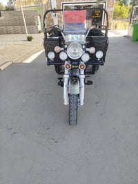 ستوته 2023 • كفالة عامة • بابل جبله