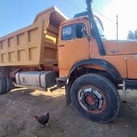 قجمه الابيع مديل 82 سنويه 31 رقم الهاتف  07707112771