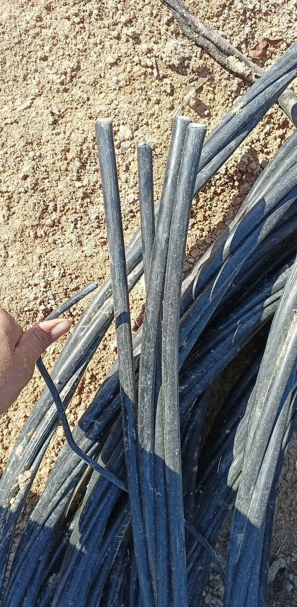 ظفيره للبيع الطول 150 متر اربع خطوط والخامس بارد صغير غير مربوطه على الكهرباء نوع اصلي سمك كبير التفاصيل/0781543486


**إذا كنت صاحب هذا الإعلان وتريد حذفه لأي سبب، رجاءا أرسل رسالة إلى الدعم الفني**