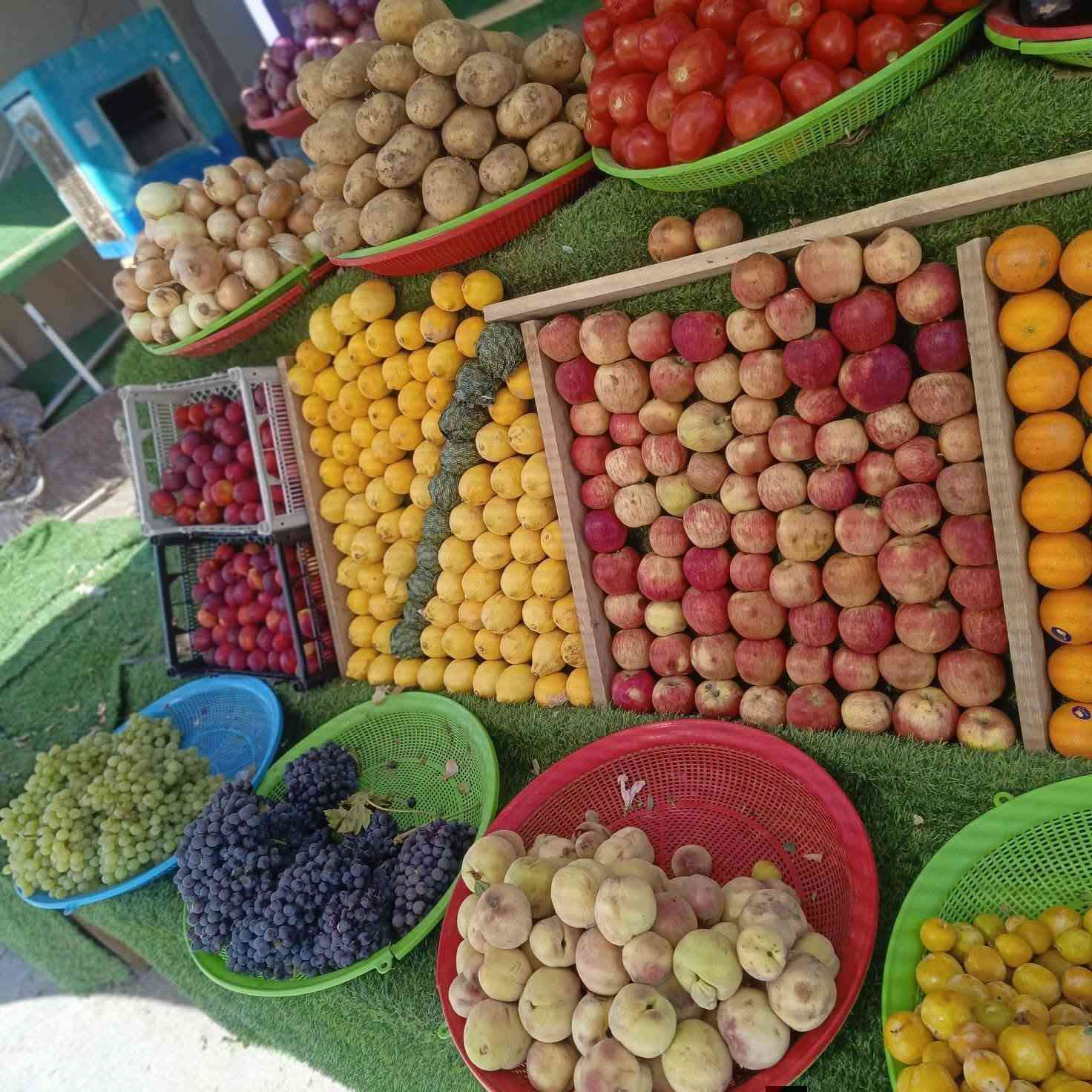 السلام عليكم زرع جديد مال اليوم
طماطه 500 
بتيته 750 
خيار 750 
فصل 750 
شجر ب 1000 
تفاح احمر 1000
تفاح عراقي 1000
ليمون 2000 ونص 
برتقال 1004 
جوده صفراء 1,500 
زوجه حمراء 2000 
مشمش 2000 
كرز 3000 
فلفل وارد 1000 
قص الحار 1000
قطين1000

بيتنجان 750 
رقي 500 
خوخ مسكي 2000

فرح 500 
بانيا 1,500 
ثوم 1000
عنب اسود1000

انا باصفر 1000
اتصال على هذا الرقم 

***********
