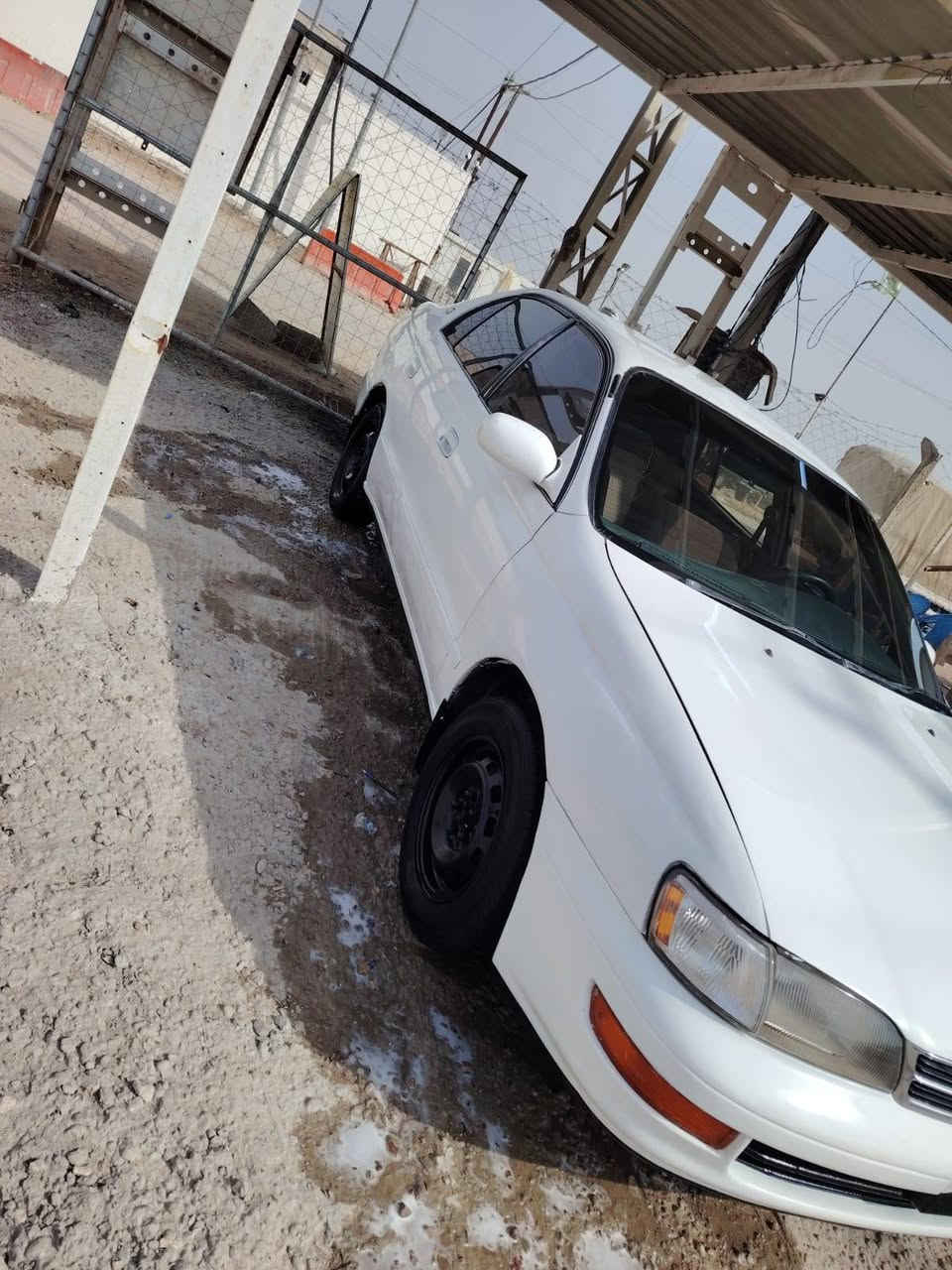 السلام عليكم  كرونا لبيع مستعجل على بعيته ***********
