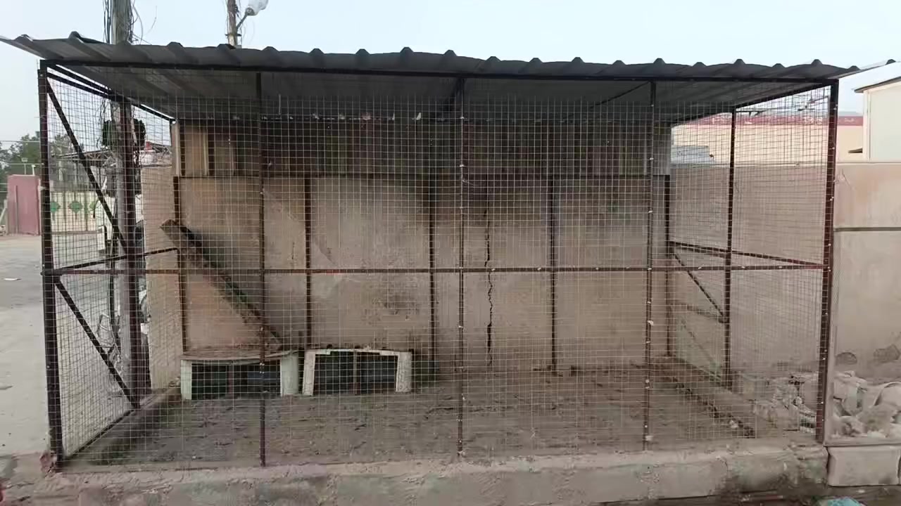 سلام عليكم قفص للبيع باقي التفاصيل بالفديو ***********
*********** الشراي يتصل مكاني بلد
