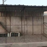 قفص • فيديو • بلد