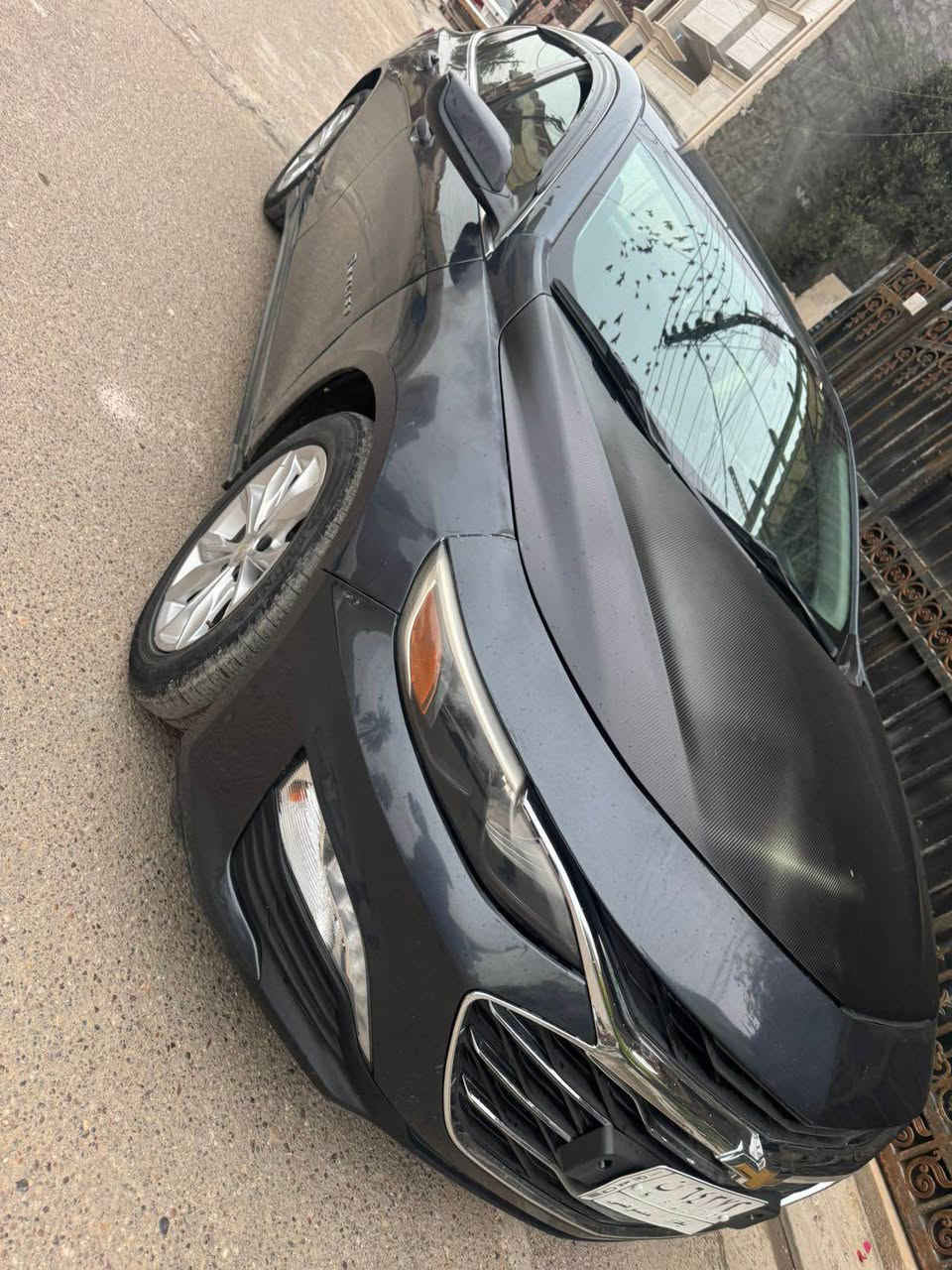 السلام عليكم 
اني مكلف بل نشر اتصال على صاحب السيارة
ماليبو موديل ٢٠٢٠ 
محرك ١٥٠٠ تيربو 
حادثه بجم بدون شاصي او لغد 
واكو طخه بالباب اللي عكس السايق يعني ٤ قطع رقم بغداد معوقين بشهر السابع تصير حره علما عدي وكاله عامه مطلقه تريد اني احولك تريد المعوقه تحولك  رايده ب١١٠ وبيه مجال
للاتصال *********** بغداد, العراق
