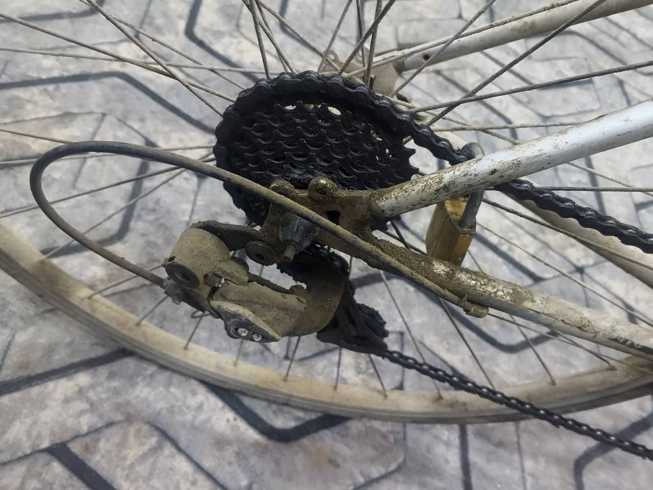 سلام عليكم
خوان بايسكل نضيف والله بس متروك 
كلشي شغال بس لبرك الخلفي لا لازمله يده 
بايشكل رياضي وخفيف وسريع ابيع على حطته ماعدي وقت ارتبه موجود خاص واتساب او رقم ***********
ابيع ب 110 وبي مجال لشرايه
