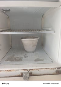 جلاجه نضيفه • شرط التجميد • مجال للطيبين