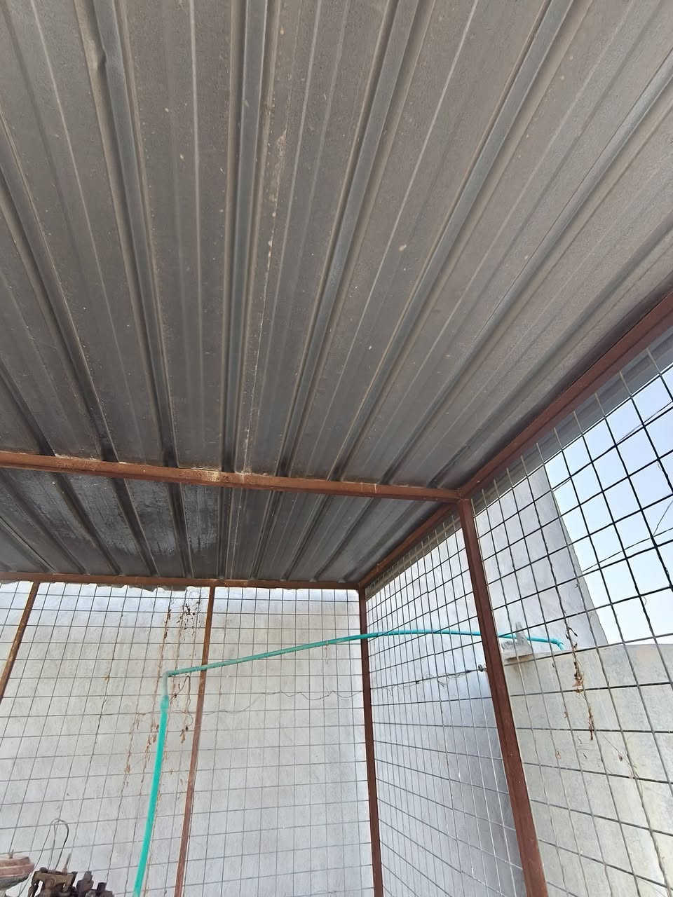 سلام وعليكم ورحمه الله وبركاتو 
قفص للبيع واضح بصور مامكسر ولا بي شي بقط الصبغ واكع السكف مالته چينكو والطار سيم وقوي جداً 
العنوان :ديالى 
السعر /425 وبي مجال 
للاستفسار مراسله الصفحه او 
اتصال /***********
واتس اب /***********
