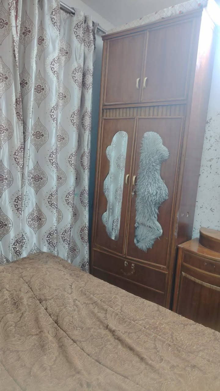 موجود غرفه اخشاب نجاره مناسيه


**إذا كنت صاحب هذا الإعلان وتريد حذفه لأي سبب، رجاءا أرسل رسالة إلى الدعم الفني**